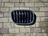 Front bumper upper radiator grill