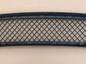 Front bumper lower grill