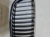 Front bumper upper radiator grill