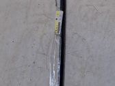 Windshield trim