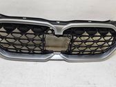 Front bumper upper radiator grill
