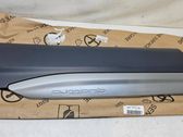 Rear door trim (molding)