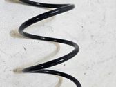 Front coil spring