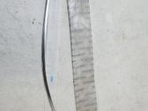 Pilar (B) (superior)