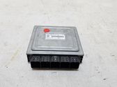 Engine control unit/module ECU