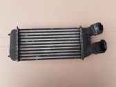 Intercooler radiator