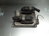 Engine control unit/module ECU