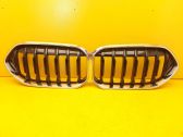 Front bumper upper radiator grill