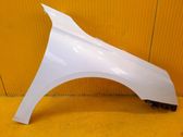 Fender