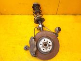 Front wheel hub spindle knuckle
