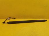 Tailgate/trunk strut/damper