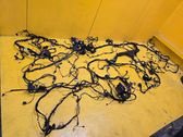 Other wiring loom