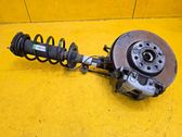 Front wheel hub spindle knuckle