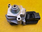 Gearbox-reducer motor