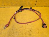 Other wiring loom