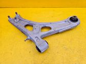 Front lower control arm/wishbone