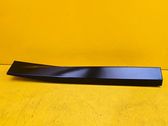 Rear door trim (molding)