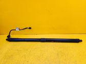 Tailgate/trunk strut/damper