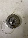 Timing chain sprocket