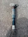 Rear shock absorber/damper