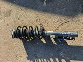 Front shock absorber with coil spring