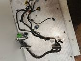 Front door wiring loom