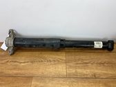 Stoßdämpfer hinten
