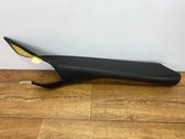 (A) pillar trim