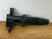 High voltage ignition coil