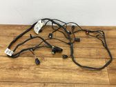 Other wiring loom