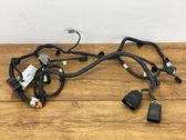 Seat wiring loom