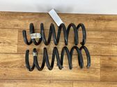 Rear coil spring