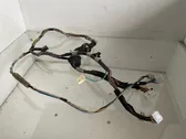 Front door wiring loom