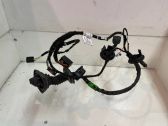Rear door wiring loom