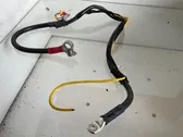 Positive cable (battery)