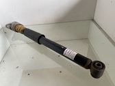 Rear shock absorber/damper