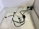 Front door wiring loom