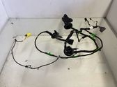 Front door wiring loom