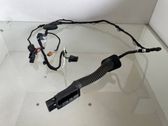 Rear door wiring loom