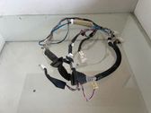 Front door wiring loom