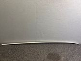 Roof trim bar molding cover