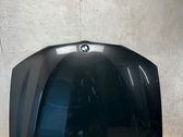 Engine bonnet/hood