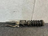 Front shock absorber/damper