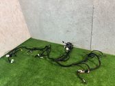 Cables del panel