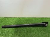Tailgate/trunk strut/damper