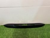 Trunk door license plate light bar