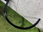 Fender trim (molding)
