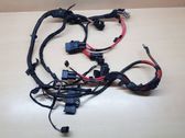 Other wiring loom