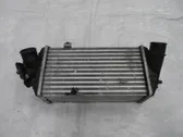 Intercooler radiator