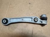 Front lower control arm/wishbone